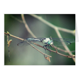 ヘリコプターの試験ドラゴンのはえ