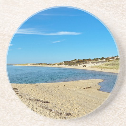 ヘリングコーブビーチ コースター (正面)