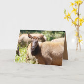 ヘルおもしろいクの誕生日カード カード (黄色い花)