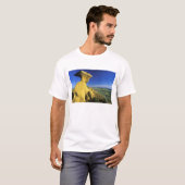ヘルクリーク地域の砂岩のモニュメント Tシャツ (正面フル)