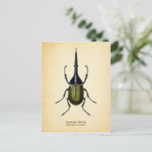 ヘルクレスオオカブトのポストカード ポストカード (スタンド正面)