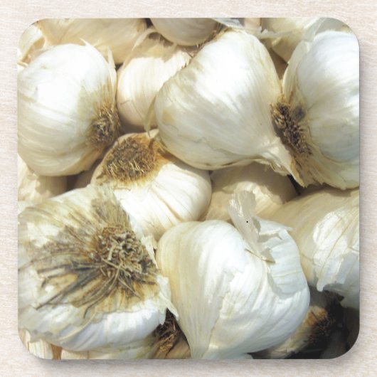 ヘルシーニンニク コースター (正面)