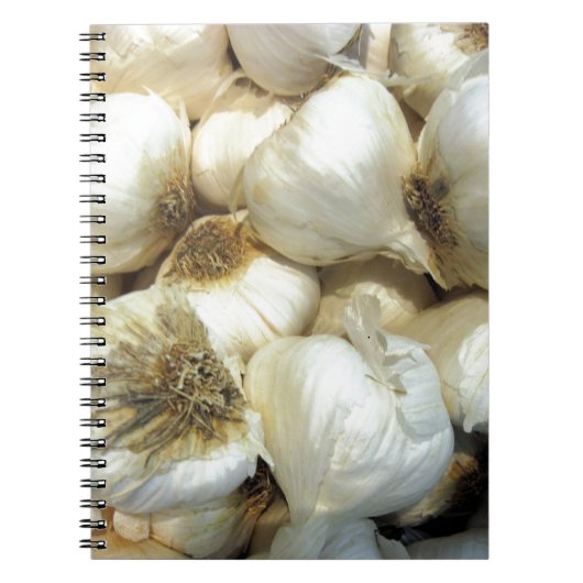 ヘルシーニンニク ノートブック (正面)