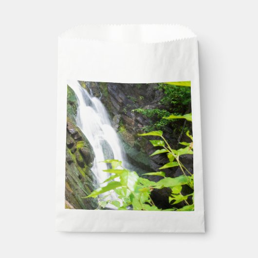 ヘルズゲートキャニオンの滝 フェイバーバッグ (正面)