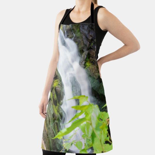 ヘルズゲートキャニオン滝 エプロン (インサイチュ)