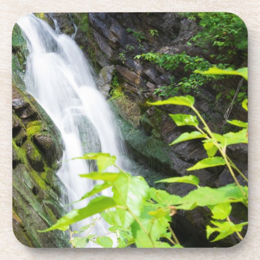 ヘルズゲートキャニオン滝 コースター (正面)