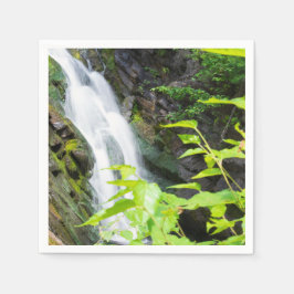 ヘルズゲートキャニオン滝 スタンダードカクテルナプキン