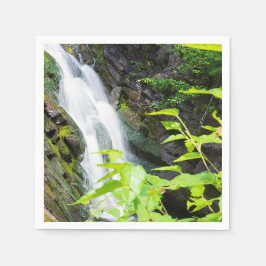 ヘルズゲートキャニオン滝 スタンダードカクテルナプキン (正面)