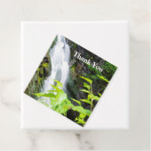 ヘルズゲートキャニオン滝 フェイバータグ (インサイチュ)