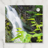 ヘルズゲートキャニオン滝 フェイバータグ (裏面)