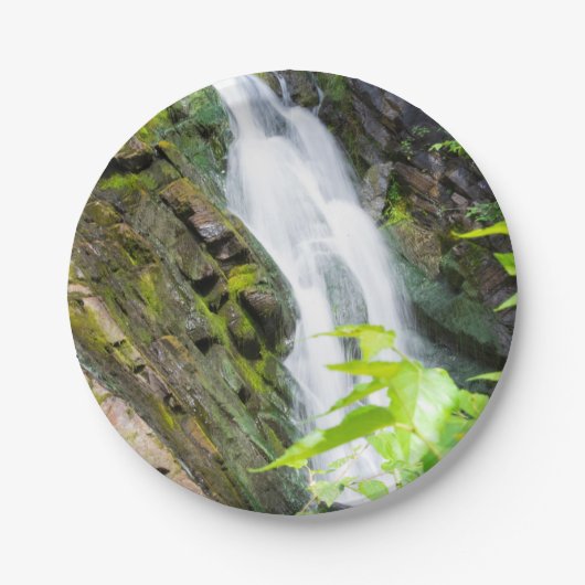 ヘルズゲートキャニオン滝 ペーパープレート (正面)