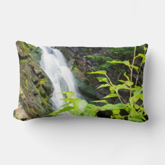 ヘルズゲートキャニオン滝 ランバークッション (正面)