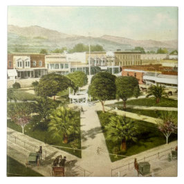 ヘルズバーグカリフォルニアプラザセラミックタイル タイル