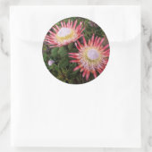 ヘルダーバーグ・プロテア（プロテア・シナロイデス） ラウンドシール (バッグ)