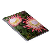 ヘルダーベルグ·プロテア王（プロテア·シナロイデス） ノートブック (右側)