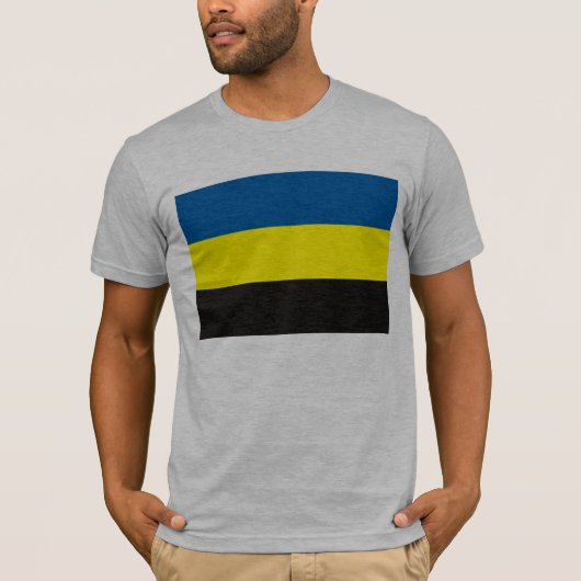 ヘルダーラント州の旗のTシャツ Tシャツ (正面)