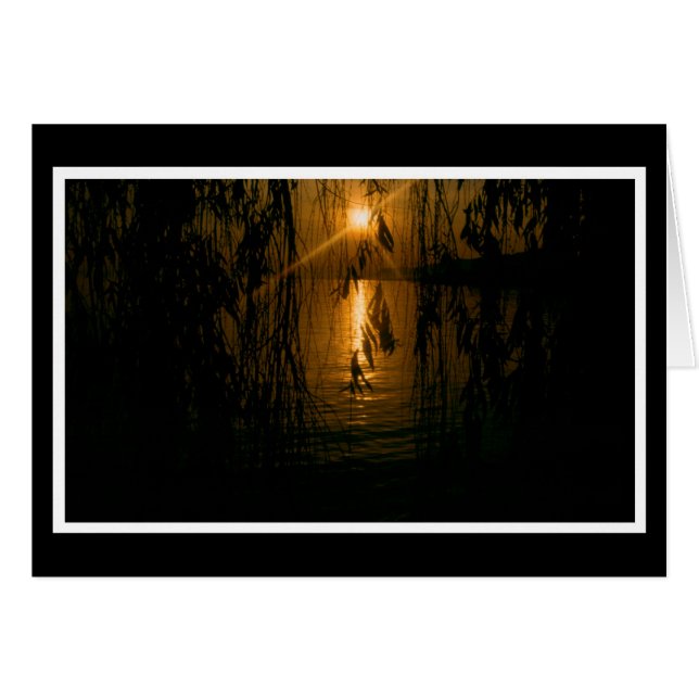 ヘルツリケアンテイルナフムカルテ (正面横)