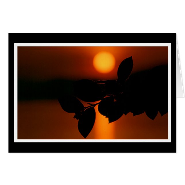 ヘルツリケアンテイルナフムカルテ (正面横)