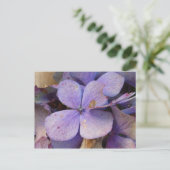 ヘルブスト – ポストカルテ（ホルテンシア） ポストカード (スタンド正面)