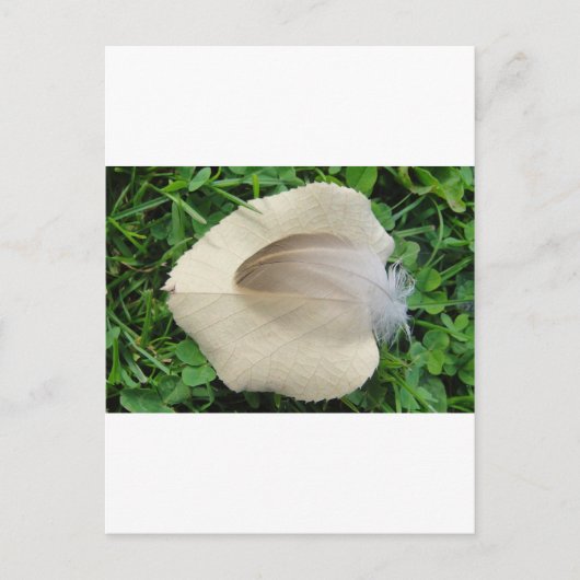 ヘルブラウンフェデアフ・ヘルビージェムブラット ポストカード (正面)