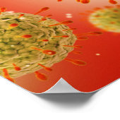 ヘルペスウイルスの顕微鏡的見解1 ポスター (角)