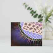 ヘルペスウイルス ポストカード (スタンド正面)