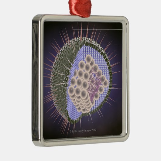 ヘルペス・ウイルスの構造 メタルオーナメント (右)