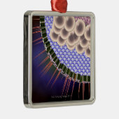 ヘルペス・ウイルス メタルオーナメント (右)