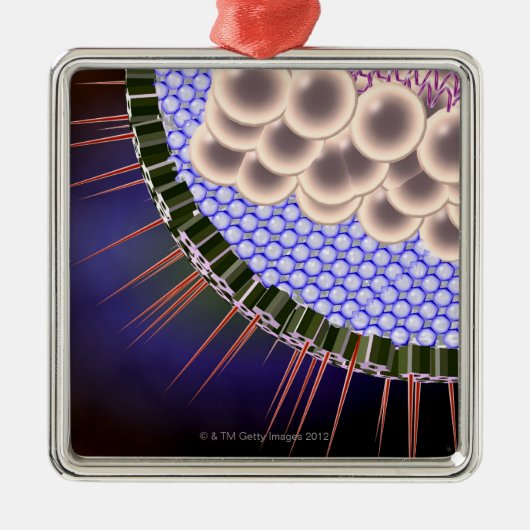 ヘルペス・ウイルス メタルオーナメント (正面)