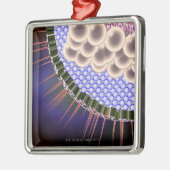 ヘルペス・ウイルス メタルオーナメント (左)