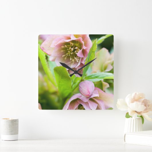 ヘルボア スクエア壁時計 (ホーム)