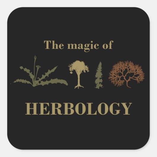 ヘルボロジー スクエアシール (正面)