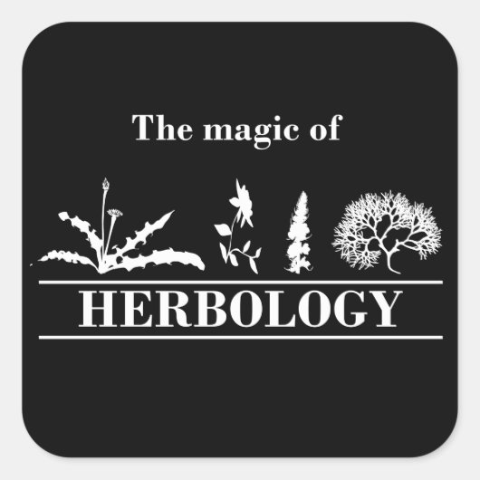 ヘルボロジー スクエアシール (正面)