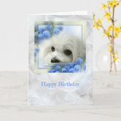 ヘルメスザマルチーズ誕生日カード カード (黄色い花)