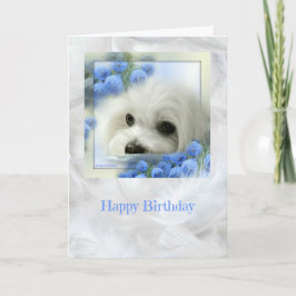 ヘルメスザマルチーズ誕生日カード カード