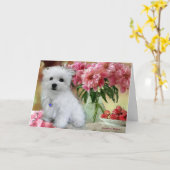 ヘルメスザマルチーズ誕生日カード カード (黄色い花)