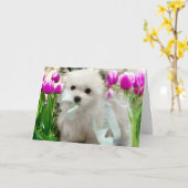 ヘルメスザマルチーズ誕生日カード カード (黄色い花)