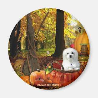 ヘルメスザマルチーズ マグネット