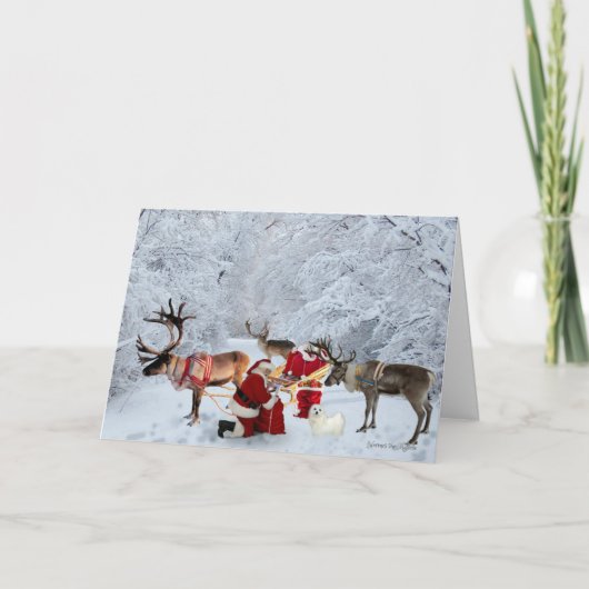 ヘルメスマルチーズクリスマスグリーティングカード シーズンカード (正面)