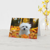 ヘルメス·ザ·マルチーズ·グリーテ空白のィング·カード カード (黄色い花)