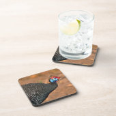 ヘルメットギニア鳥(Numida meleagris).アフリカ コースター (右側)