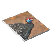 ヘルメットギニア鳥(Numida meleagris).アフリカ ノートパッド (アングル)