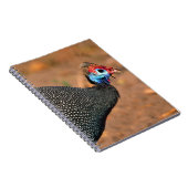 ヘルメットギニア鳥(Numida meleagris).アフリカ ノートブック (右側)