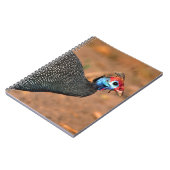 ヘルメットギニア鳥(Numida meleagris).アフリカ ノートブック (左側)