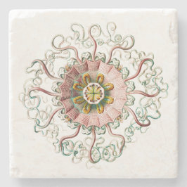 ヘルメットクラゲ ストーンコースター