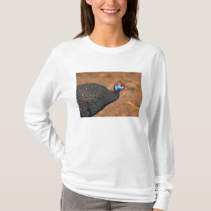 ヘルメットモリホウカンチョウ (Numida meleagris)。アフリカ Tシャツ