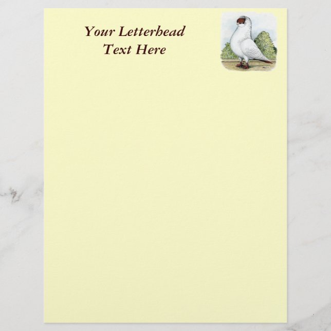 ヘルメット：赤い鳩 (正面)