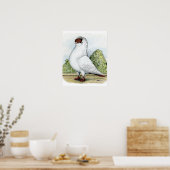 ヘルメット：赤い鳩 ポスター (キッチン)