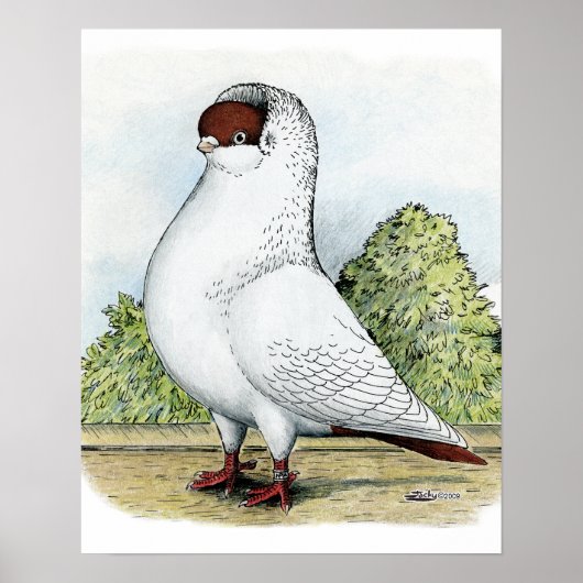 ヘルメット：赤い鳩 ポスター (正面)