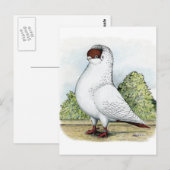 ヘルメット：赤い鳩 ポストカード (正面/裏面)